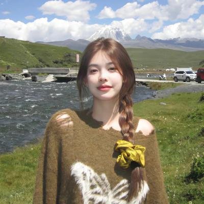 皇牌特务龙虎斗
